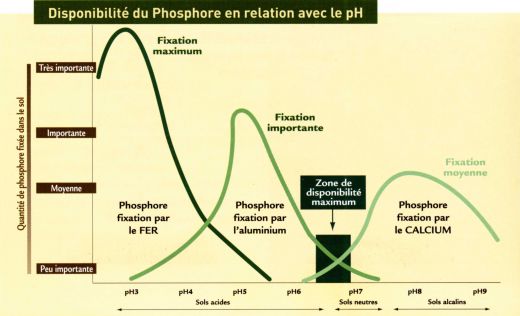 laboratoire d'analyse de terre - analyse de sol - laboratoire cofrac certifié ISO 9001:2008