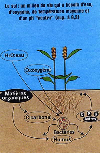 laboratoire d'analyse de terre - analyse de sol accrédité cofrac certifié ISO 9001:2008