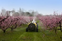 laboratoire d'analyse d'insecticides - analyse de pesticides - analyse organochloré - analyse organophosphoré - analyse pyrthrinïde