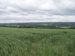 laboratoire d'analyse de pesticide - analyse régulateur de croissance - laboratoire cofrac 